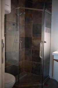 La salle de bains est pourvue d'une douche avec une porte en verre. dans l'établissement Spiky hill resort, à Kopaonik