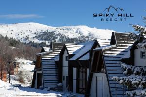 Une rangée de maisons dans la neige dans l'établissement Spiky hill resort, à Kopaonik