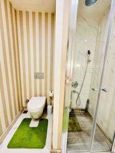 a bathroom with a shower and a toilet with a green rug at Luxury Apartment in Istanbul