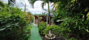 - un accès au jardin d'une maison avec des arbres et des plantes dans l'établissement La kaz créole, à Bouillante