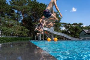 Bazén v ubytování Recreatie- en Natuurpark Keiheuvel nebo v jeho okolí + 8 fotografií
