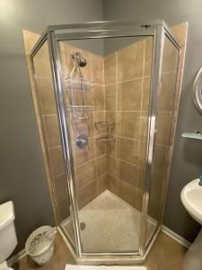 W łazience znajduje się prysznic ze szklanymi drzwiami. w obiekcie Hidden East Village Gem w Chicago