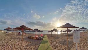 a beach with many umbrellas on the sand at Residence Il Cicero in Porto San Giorgio