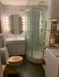 a bathroom with a shower and a toilet and a sink at Mysig stuga i vemdalssskalet in Vemdalen