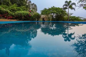 a swimming pool with blue water and trees at LEO COMFORTS RIVER SIDE in Hampi