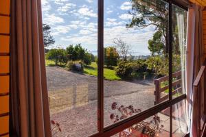 a view from a window of a yard at Treetops Silvan Valley Lodge - suite 1 in Silvan