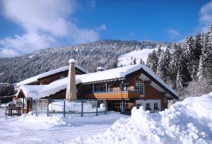 ein schneebedecktes Gebäude vor einem Berg in der Unterkunft Schelpenalp Berghotel Balderschwang in Balderschwang