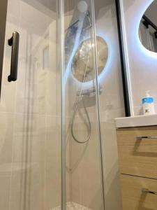 La salle de bains est pourvue d'une douche avec un pommeau de douche. dans l'établissement Charmant et moderne de L’Hay, à Chevilly-Larue