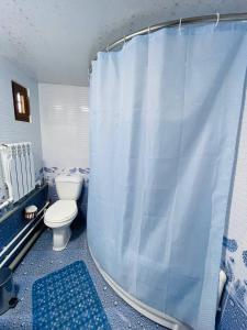 a bathroom with a toilet and a shower curtain at "CHOR MINOR" BOUTIQUE HOTEL UNESCO HERITAGE List in Bukhara