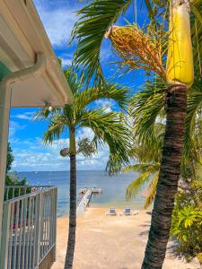 un balcón de una casa con palmeras en la playa en Sunset Cove Beach Resort, en Cayo Largo