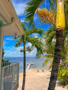 einen Balkon eines Hauses mit Palmen am Strand in der Unterkunft Sunset Cove Beach Resort in Key Largo