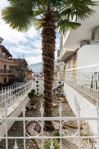 a palm tree in front of a white fence at Airbnb Kastoria - Bella Vista B in Kastoria