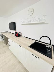 a kitchen with a sink and a counter top at Urban escape #12lunipebega in Timişoara