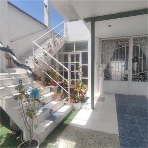 帕拉卡斯的住宿－Hospedaje El Candelabro de Paracas，一座房子,上面有盆栽的楼梯