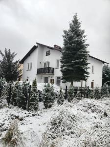 una casa blanca con un árbol en la nieve en Pokoje u Julii 2 Bedroom Premium Apartment, en Rzeszów