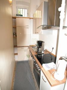 Kuchyň nebo kuchyňský kout v ubytování ApartInn + 10 fotografií