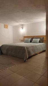 1 dormitorio con 1 cama grande y 2 almohadas en Refúgio do Agricultor - Gerês, en Montalegre