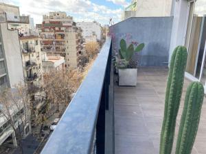 un cactus sentado en la parte superior de un balcón en 2 Amb de 63m2 - Con balcon XL- Palermo Queens en Buenos Aires