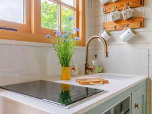 um balcão de cozinha com um lavatório e uma janela em 1 bed in Chillenden 88795 em Chillenden