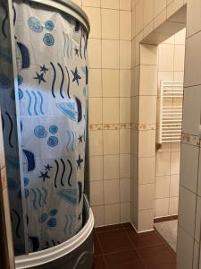 a bathroom with a shower curtain in a tub at Лаціо in Berehove