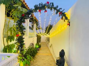 A garden outside Villa Residencial El Guaidil