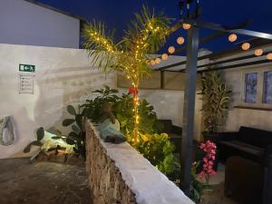 A garden outside Villa Residencial El Guaidil