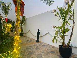 A garden outside Villa Residencial El Guaidil