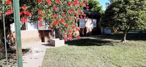 un árbol con flores rojas colgando de un lado de una casa en Quinta San Francisco 