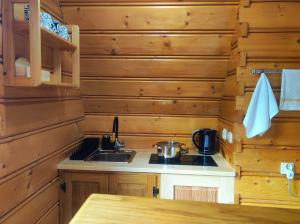 Kuchyňa alebo kuchynka v ubytovaní Apartamenty Sosna