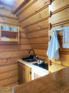 Kuchyňa alebo kuchynka v ubytovaní Apartamenty Sosna