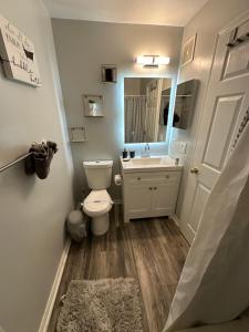 a bathroom with a toilet and a sink and a mirror at Beautiful & Luxurious 2 bed 2 & half bth & 2 car attached garage TownHouse in Falls Church in Falls Church