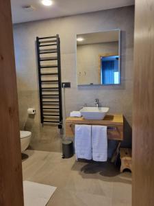 ein Badezimmer mit einem Waschbecken, einem WC und einem Spiegel in der Unterkunft Lucky Chalet Jasná in Demänovská Dolina