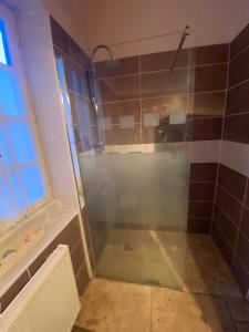 een douche met een glazen deur in de badkamer bij Gîte les hortensias 