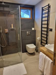 a bathroom with a shower and a toilet and a sink at Lucky Chalet Jasná in Demanovska Dolina