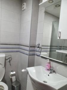 y baño con lavabo, aseo y espejo. en Lux Apartman Jovana en Žabljak