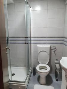 y baño con aseo y ducha acristalada. en Lux Apartman Jovana en Žabljak