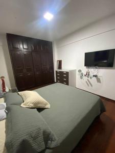 1 dormitorio con 1 cama grande y TV de pantalla plana en Apartamento 3 quartos em Belém, en Belém