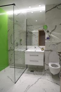 a bathroom with a shower and a sink and a toilet at Moaline Apartments, free parking in Sarajevo