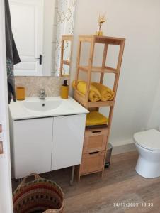ein Badezimmer mit einem Waschbecken, einem WC und einem Regal in der Unterkunft Leu doux bruit des vagues in Saint-Leu