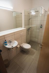 a bathroom with a toilet and a shower and a sink at Hotel Studlagil in Skjöldólfsstaðir