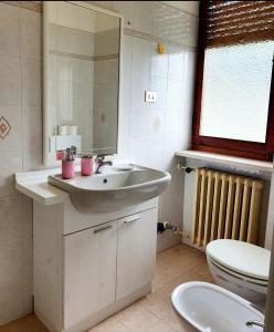 a bathroom with a sink and a toilet at Fiori e Frutti - Appartamento Economy in Almese