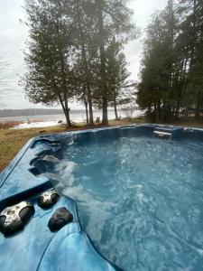 - une piscine avec 2 tortues dans l'eau dans l'établissement Lovely waterfront private cottage with hot tube, à Head Lake