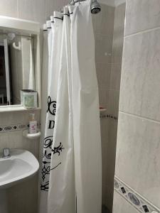 康科迪亞的住宿－Dos Ambientes Deluxe Concordia Centro，浴室配有淋浴帘和盥洗盆。
