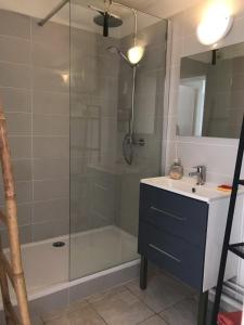 a bathroom with a shower with a sink and a tub at Le Ciel Bleu in La Seyne-sur-Mer +9 photos