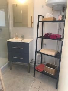a bathroom with a sink and a shelf next to a sink at Le Ciel Bleu in La Seyne-sur-Mer