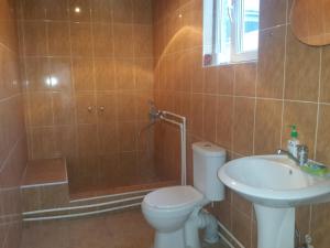 a bathroom with a toilet and a sink and a shower at Holiday Home Ekaterine in Telavi