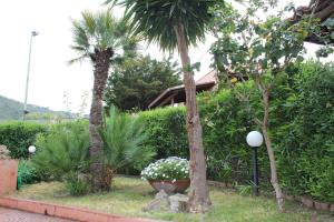 een tuin met palmbomen en bloemen in een tuin bij mare, sole e relax a 5 km da Cefalu' in Cefalù