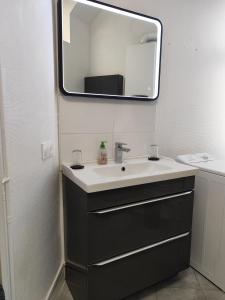 a bathroom with a sink and a mirror at Toul superbe appartement plein centre in Toul