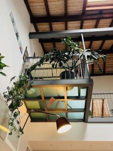 a hanging planter with plants on a ceiling at Via Breda 120 in Milan