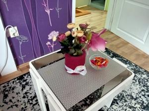 Fotografie z fotogalerie ubytování Apartmani Trio br.3 v destinaci Valjevo